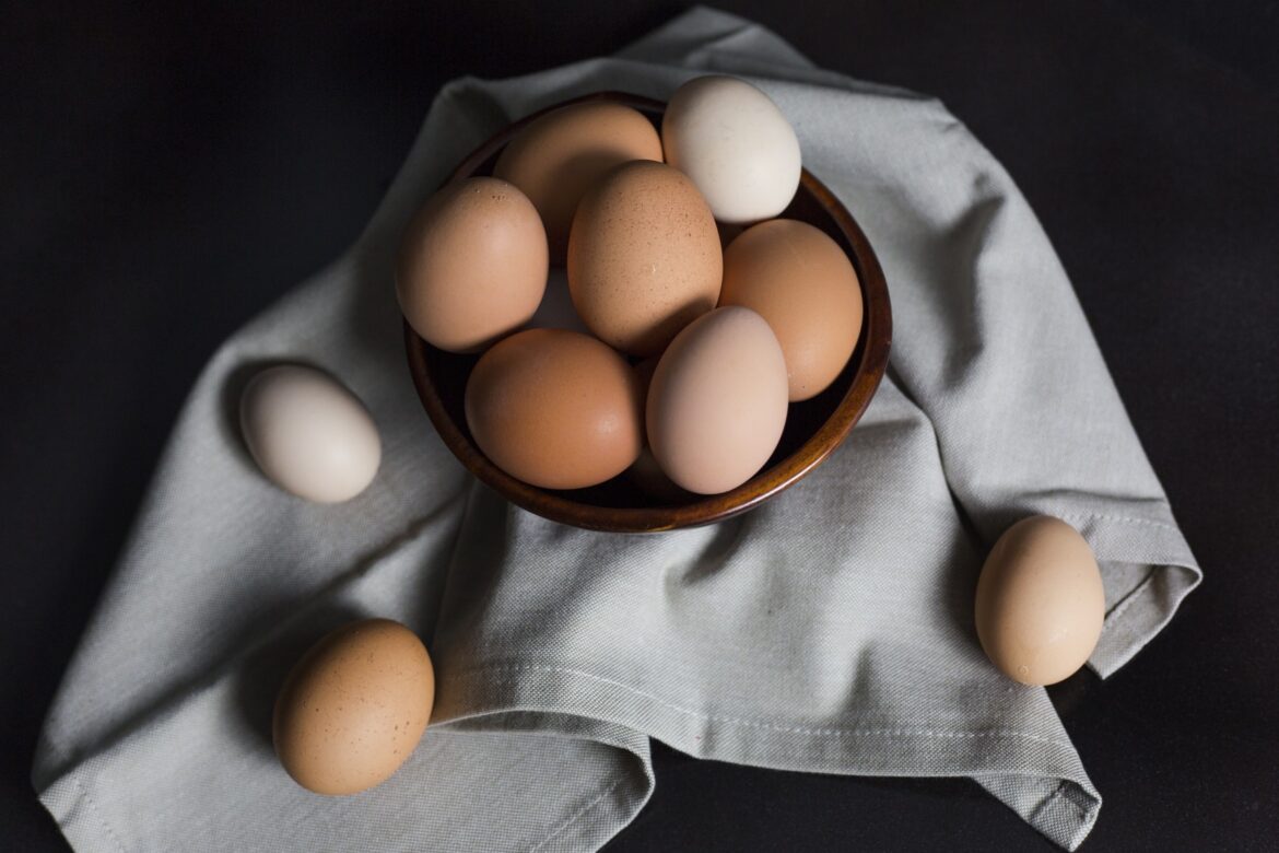 eggs